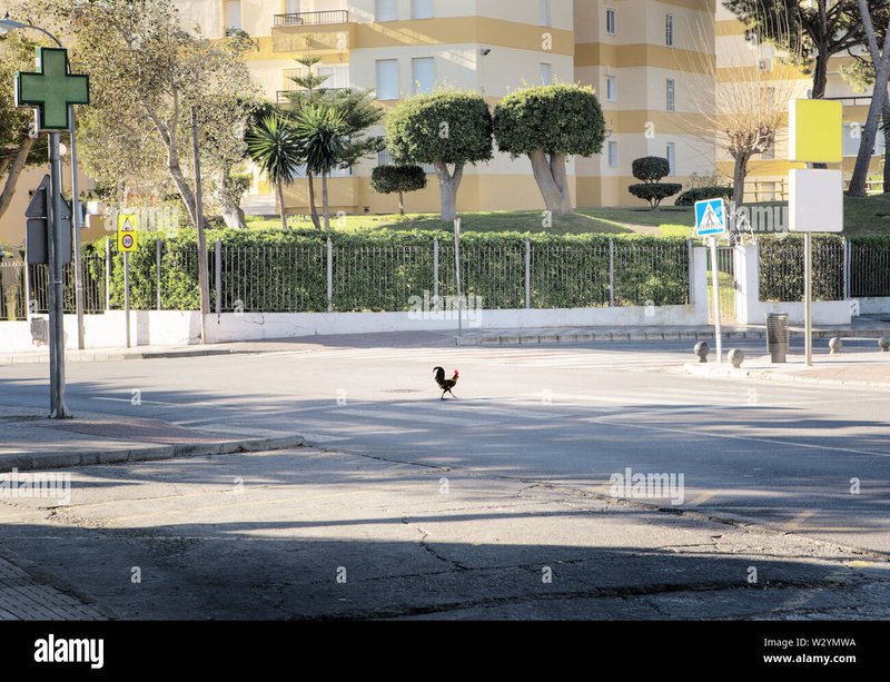 Descubre el Misterio de la Carretera de Pollo en Juegos en Línea en España, chicken road españa