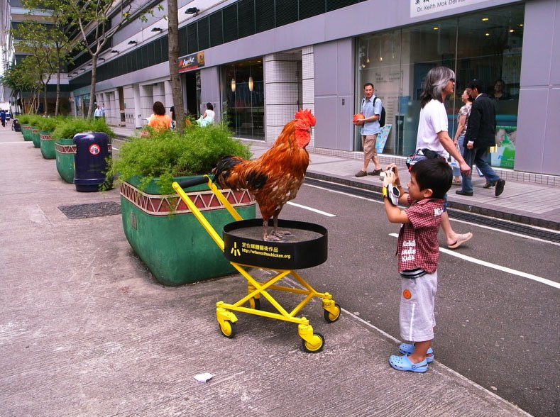 Chicken road game - Spelen op de Legendarische Chicken Road Casino in Nederland