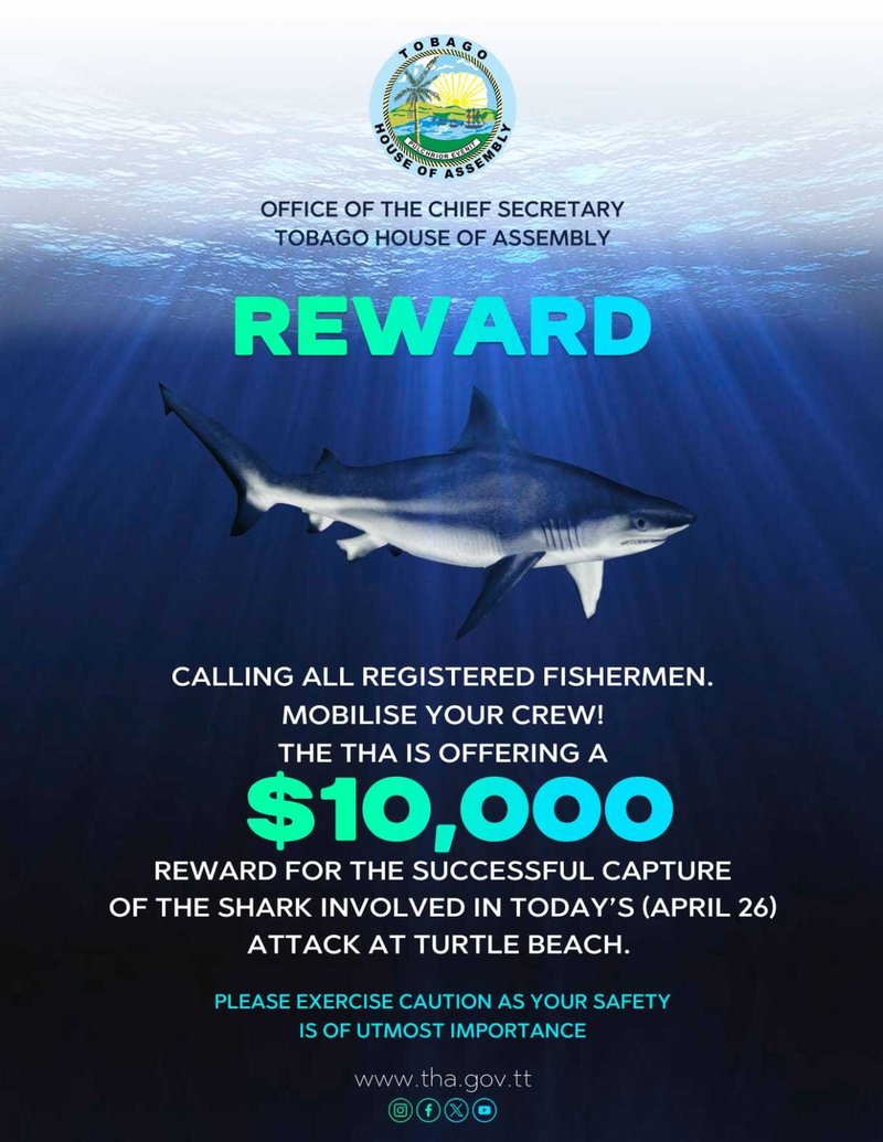 Lee más sobre el artículo Uncovering the Truth Behind the Admiral Shark Casino in the UK